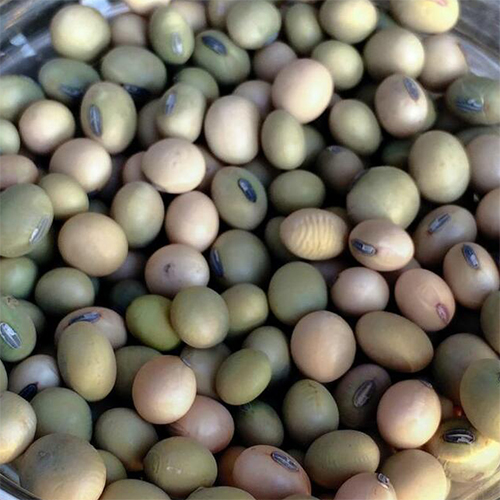 Butterbeans